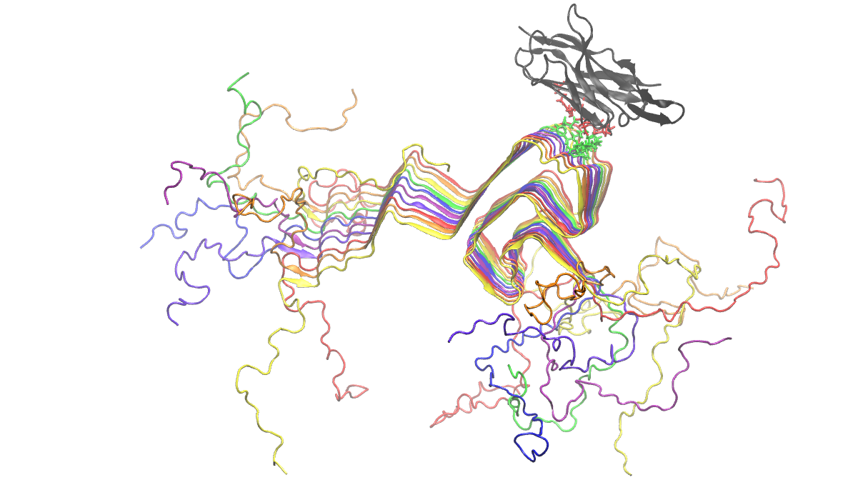 Antibody design